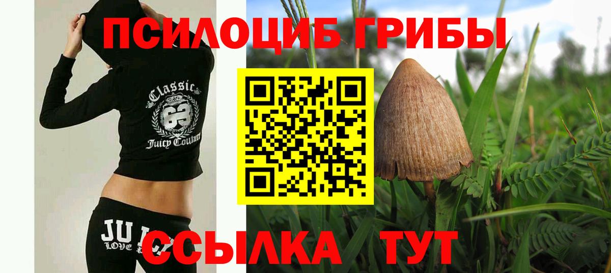 Галлюциногенные грибы GOLDEN TEACHER  Вход с VPN  Михайловка 