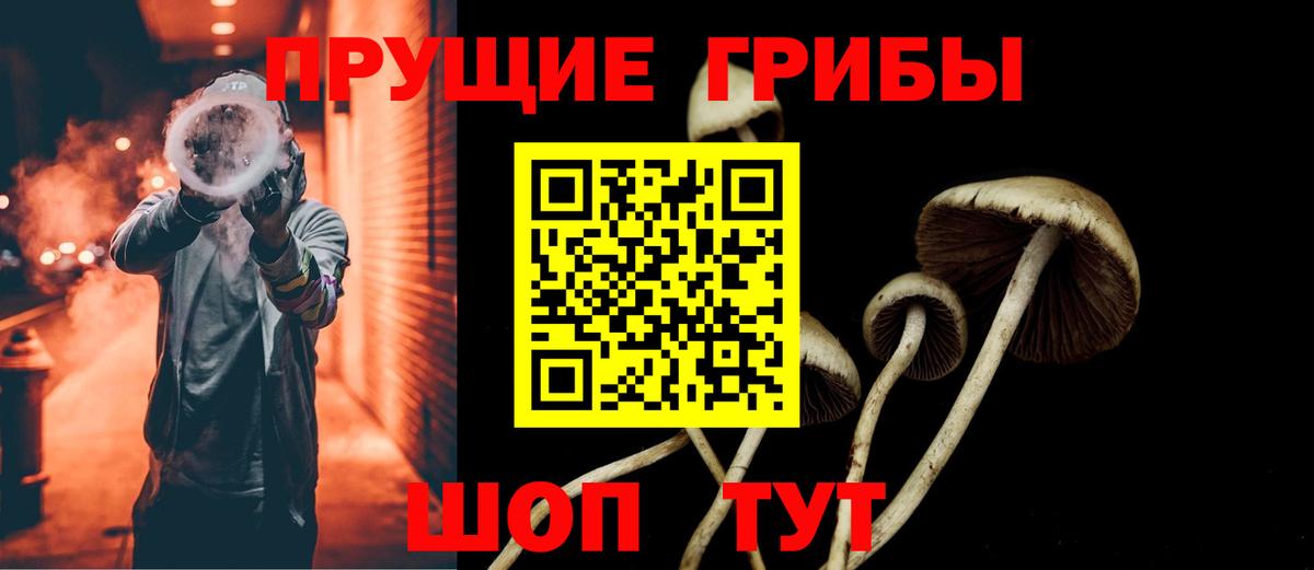 Псилоцибиновые грибы Psilocybe Михайловка